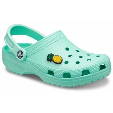 Crocs Classic Clog Sandals Men's Shoes Aqua | Australia 0691GSOL